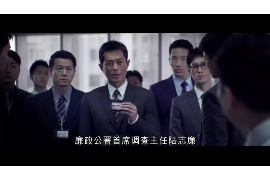 淮南为什么选择专业追讨公司来处理您的债务纠纷？